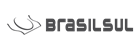 logo brasil sul